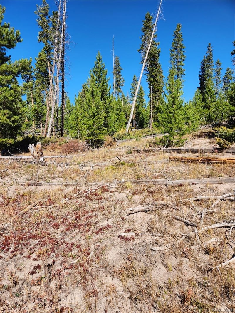 37 Cr 4628 Lot 30, Grand Lake, CO 80447