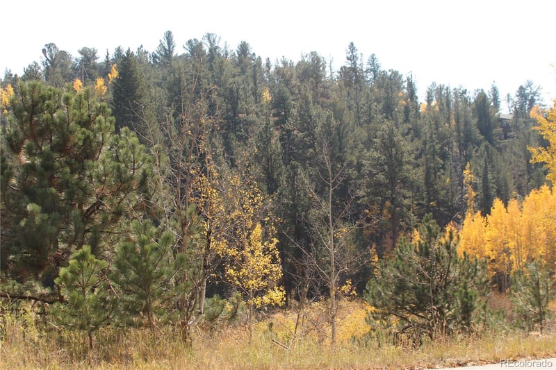 2020 Shelton Dr, Bailey, CO 80421