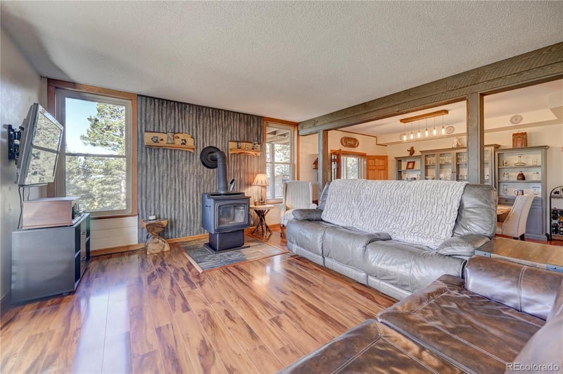 3313 County Road 51, Divide, CO 80814