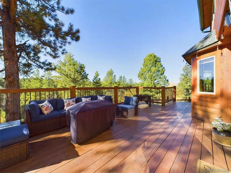3313 County Road 51, Divide, CO 80814