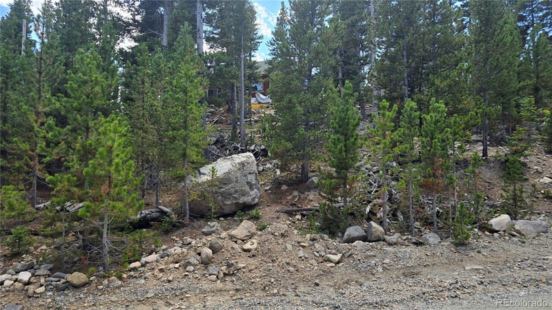 Alice Rd Lot 235/U2, Idaho Springs, CO 80444