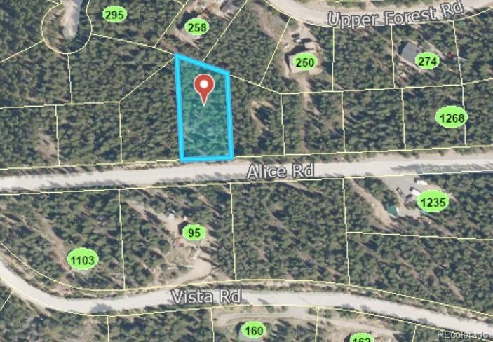 Alice Rd Lot 235/U2, Idaho Springs, CO 80444