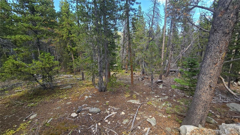 Alice Rd Lot 235/U2, Idaho Springs, CO 80444