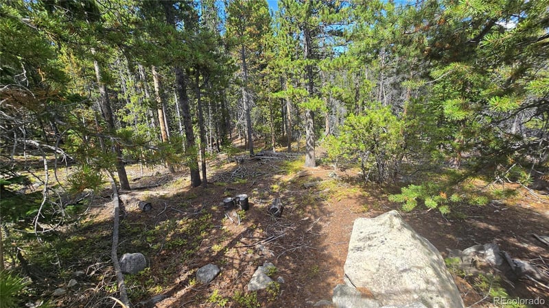 Alice Rd Lot 235/U2, Idaho Springs, CO 80444