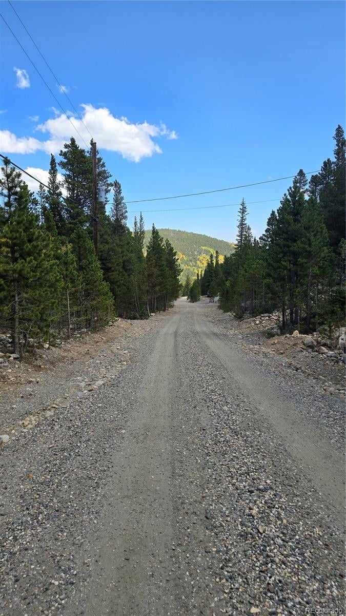 Alice Rd Lot 235/U2, Idaho Springs, CO 80444