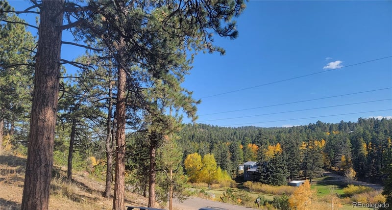 27365 Stagecoach Rd, Conifer, CO 80433