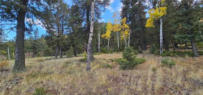 54 Garnet Ln Lot 6, Pine, CO 80470