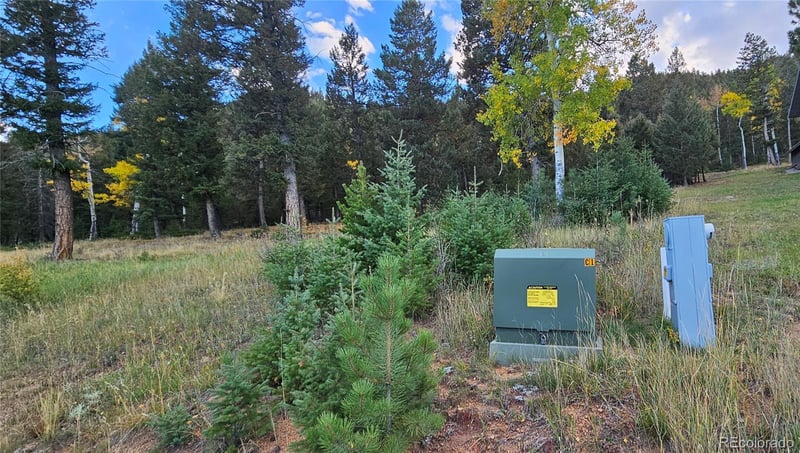 54 Garnet Ln Lot 6, Pine, CO 80470