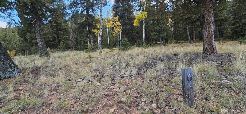 54 Garnet Ln Lot 6, Pine, CO 80470