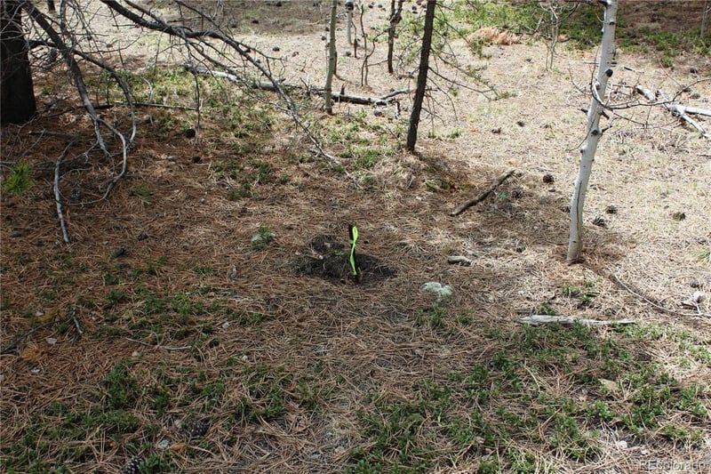 Lot 10 Pinon Cir Lot 10, Black Hawk, CO 80422