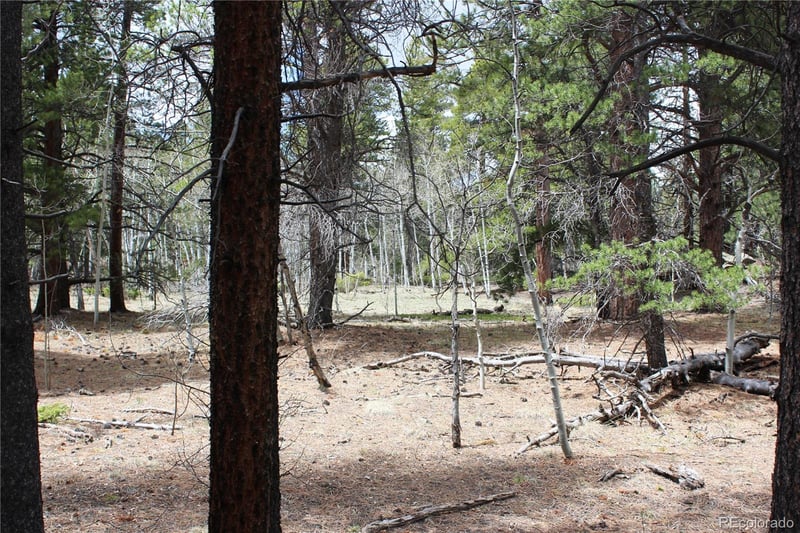 Lot 10 Pinon Cir Lot 10, Black Hawk, CO 80422