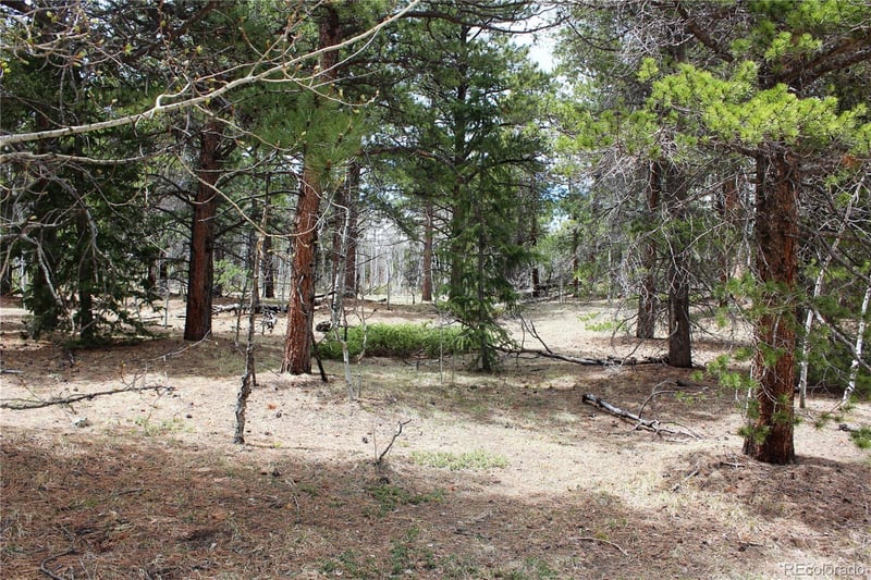 Lot 10 Pinon Cir Lot 10, Black Hawk, CO 80422