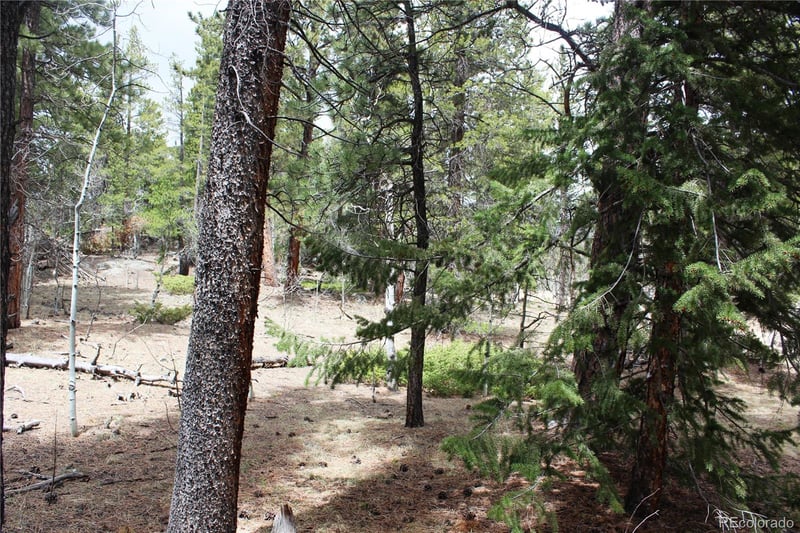 Lot 10 Pinon Cir Lot 10, Black Hawk, CO 80422