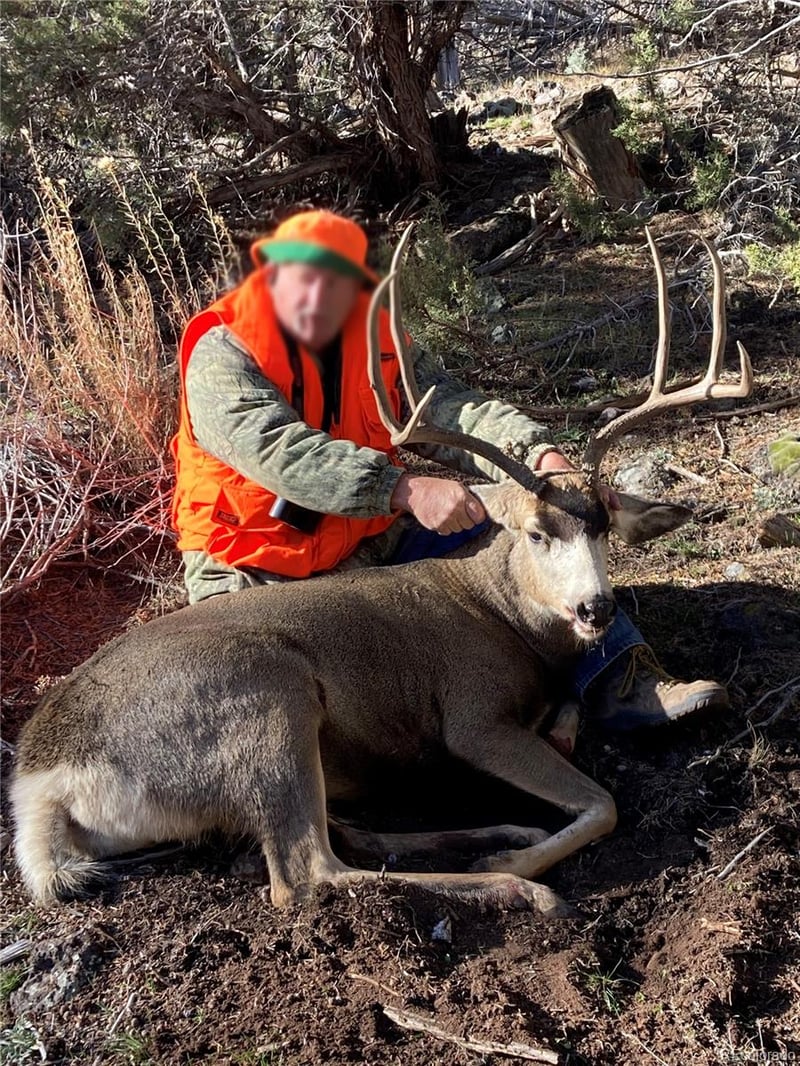 56106 Me Dr, Collbran, CO 81624