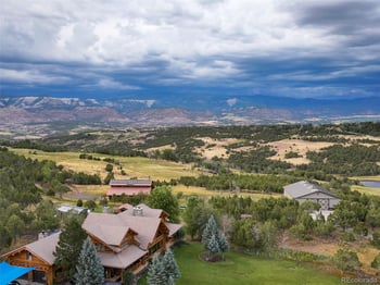 56106 Me Dr, Collbran, CO 81624