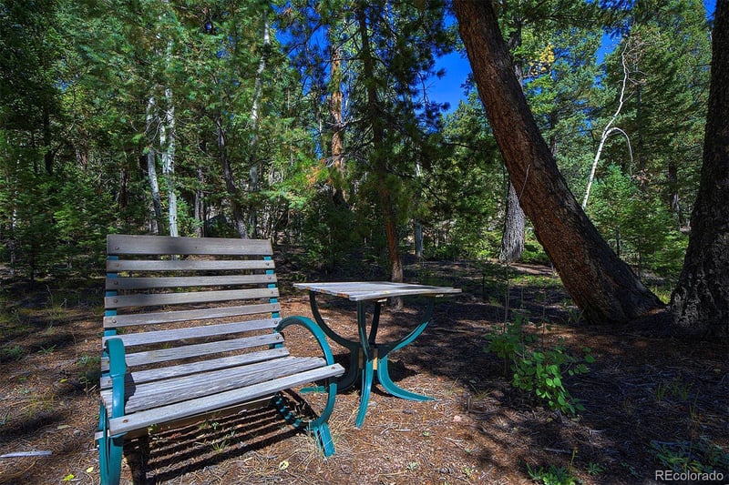 30092 Kings Valley E, Conifer, CO 80433