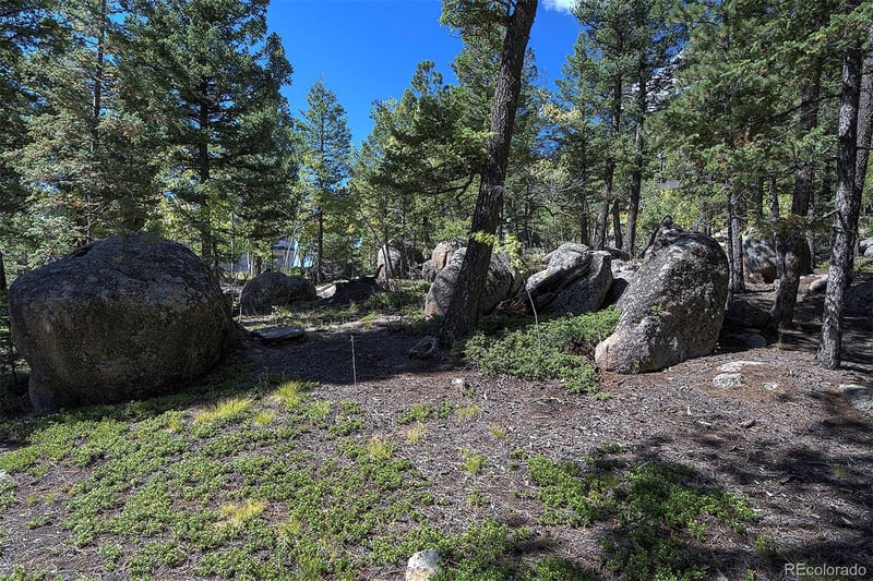 30092 Kings Valley E, Conifer, CO 80433