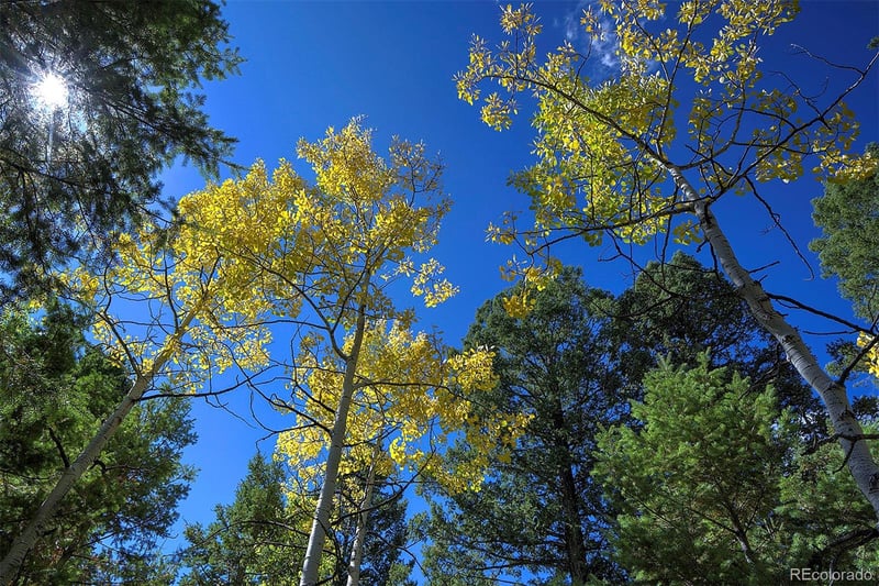 30092 Kings Valley E, Conifer, CO 80433