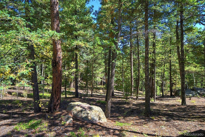 30092 Kings Valley E, Conifer, CO 80433