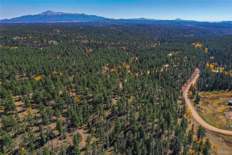 3447 Pathfinder Rd, Florissant, CO 80816
