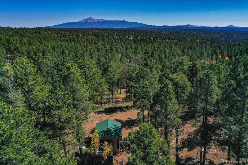 3447 Pathfinder Rd, Florissant, CO 80816