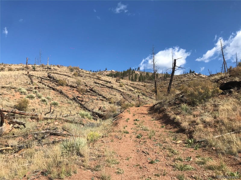 0 Cochise Trl, Pine, CO 80470