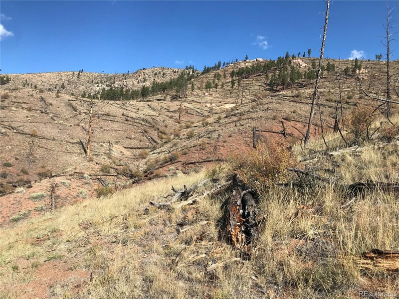 0 Cochise Trl, Pine, CO 80470