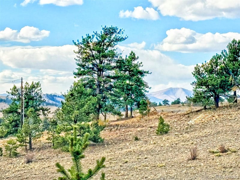 115 Black Canyon Ct, Hartsel, CO 80449