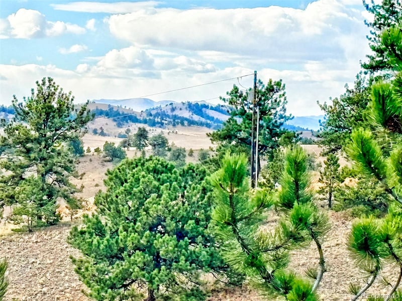 115 Black Canyon Ct, Hartsel, CO 80449