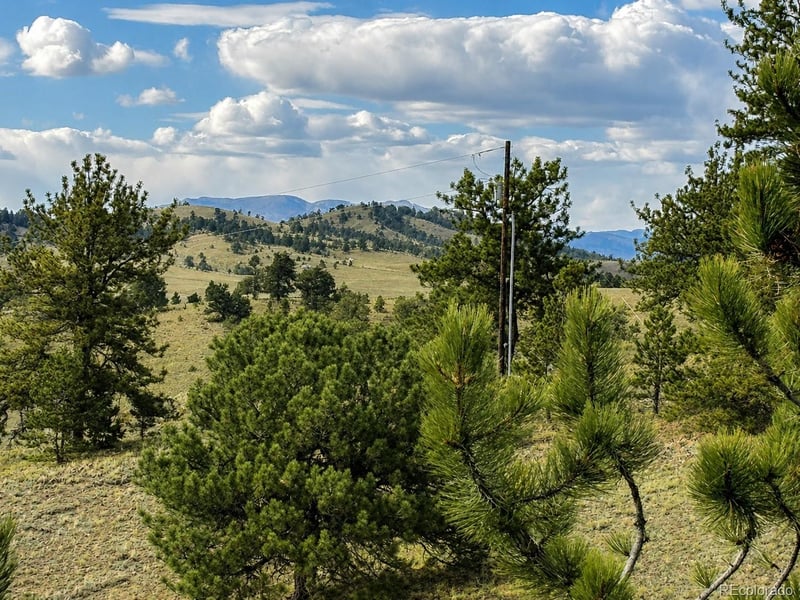 115 Black Canyon Ct, Hartsel, CO 80449