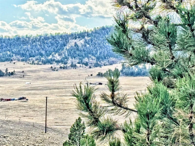 115 Black Canyon Ct, Hartsel, CO 80449
