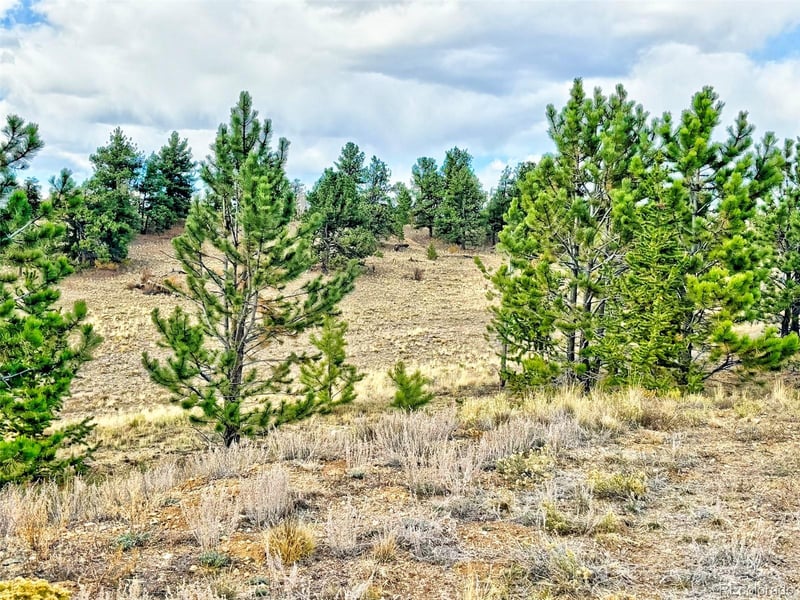 115 Black Canyon Ct, Hartsel, CO 80449