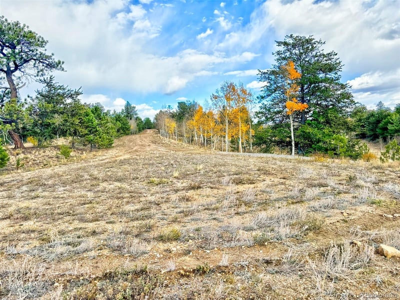 115 Black Canyon Ct, Hartsel, CO 80449