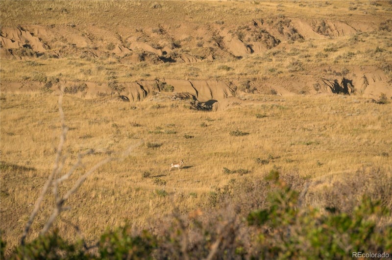 000 County Road 651, Rye, CO 81069