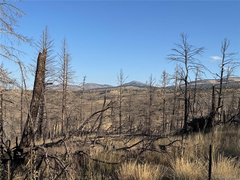 Forbes Park Rd, Fort Garland, CO 81133