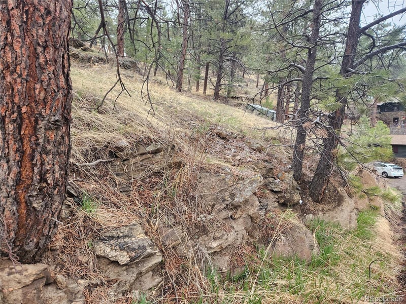 000 Forest Hill Rd, Evergreen, CO 80439