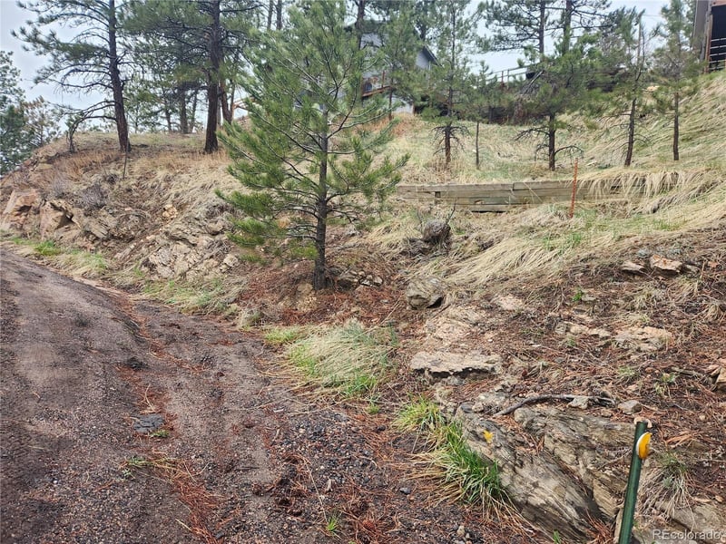 000 Forest Hill Rd, Evergreen, CO 80439