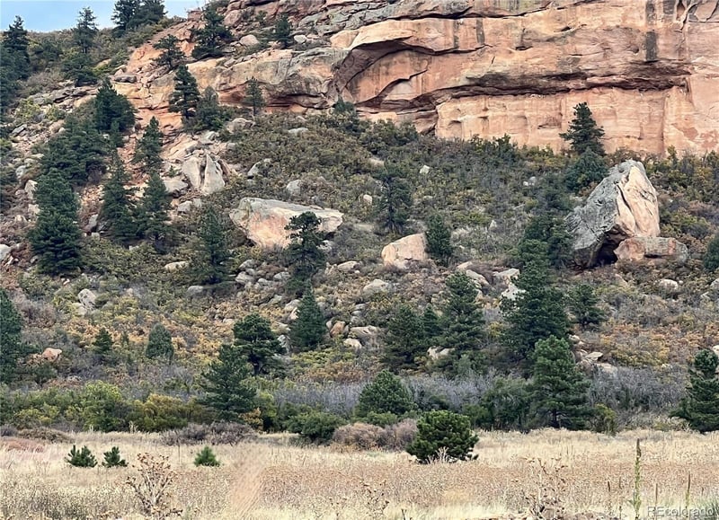 0 Lake Ave, Palmer Lake, CO 80133