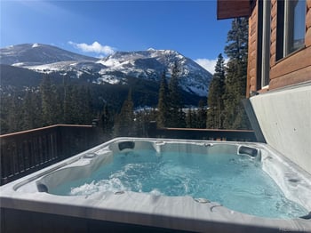 926 Nuthatch Dr, Alma, CO 80420