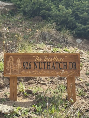 926 Nuthatch Dr, Alma, CO 80420