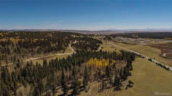 267 Platte River Dr, Fairplay, CO 80440