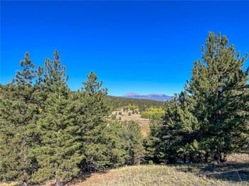 539 Tapedero Rd, Hartsel, CO 80449