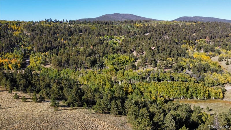 539 Tapedero Rd Lot 600, Hartsel, CO 80449