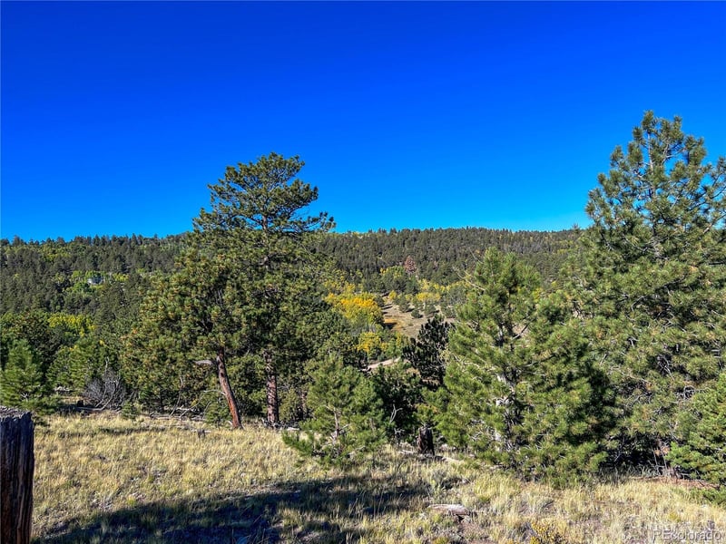 539 Tapedero Rd Lot 600, Hartsel, CO 80449