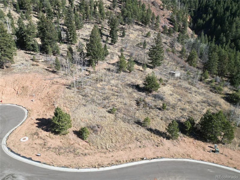 17 Blue Haven Pl, Woodland Park, CO 80863