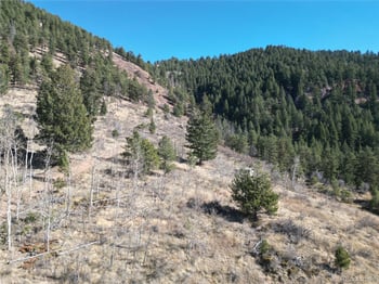 18 Blue Haven Pl, Woodland Park, CO 80863