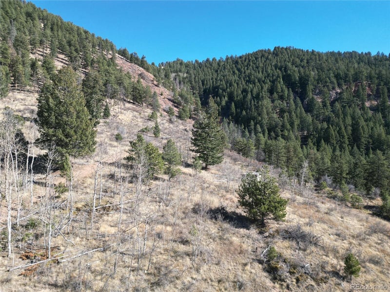 18 Blue Haven Pl, Woodland Park, CO 80863