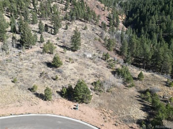 18 Blue Haven Pl, Woodland Park, CO 80863