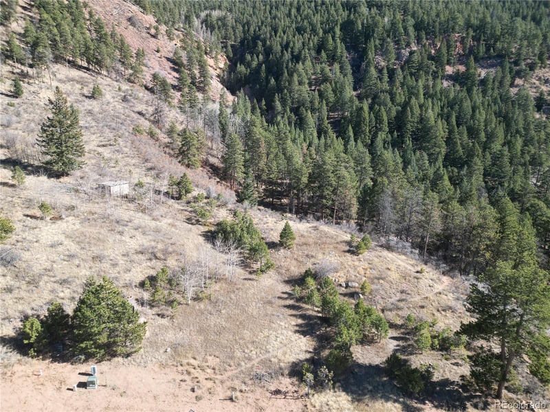 19 Blue Haven Pl, Woodland Park, CO 80863