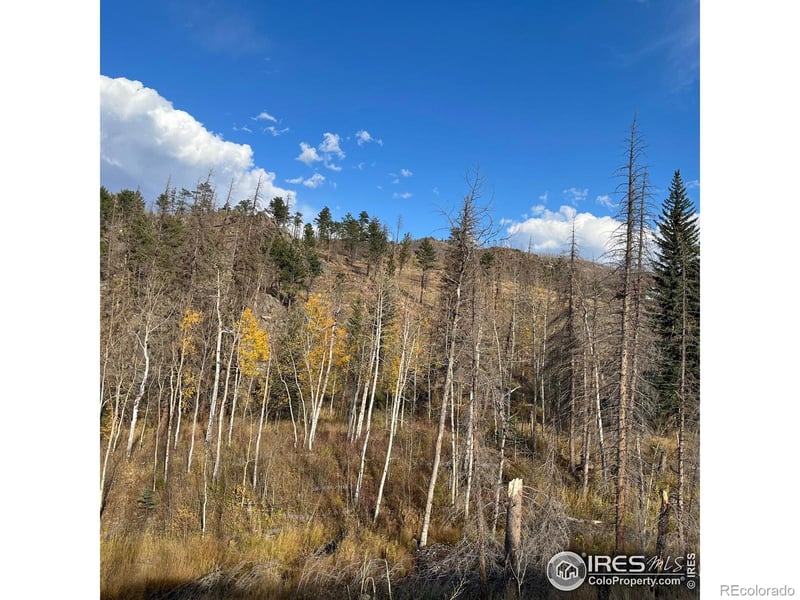 11 Monument Gulch Way, Bellvue, CO 80512